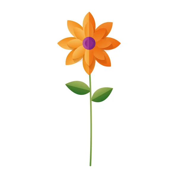Blütenstammblätter — Stockvektor