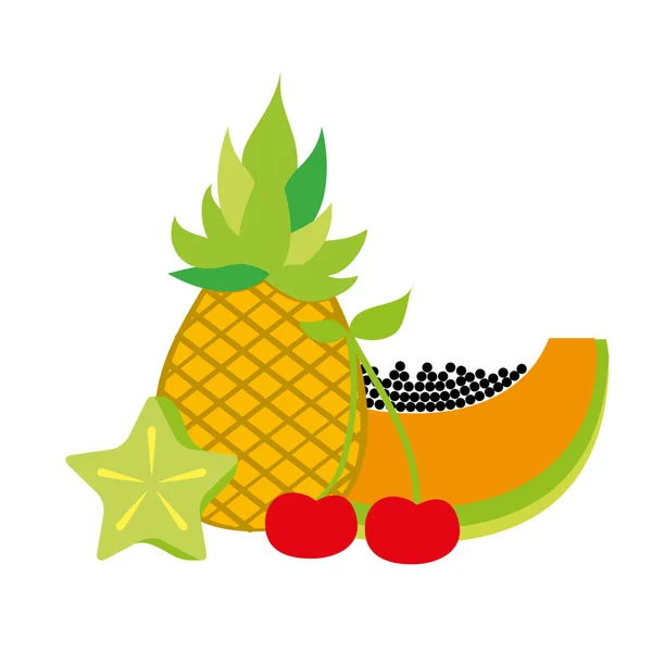 Ananas Papaya Cherry en carambola verse natuur — Stockvector