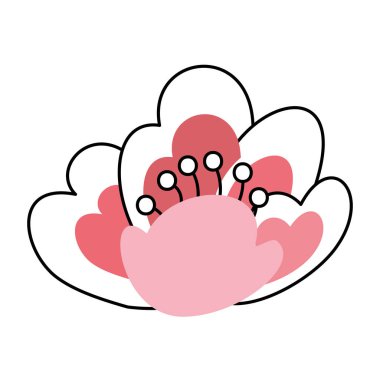 kiraz çiçek doğa narin çiçek resim