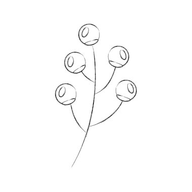 Şube çilek bitki flora doğal görüntü