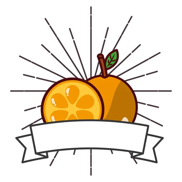 新鮮な有機フルーツ オレンジ バナー — ストックベクタ