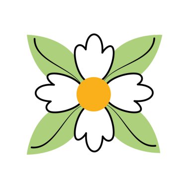 Petal bitki botanik dekorasyon yaprak çiçek