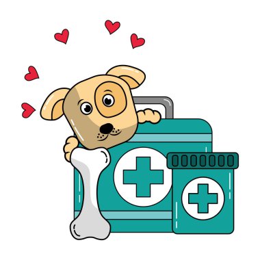 kemik ve tıbbi kiti pet veteriner bakımı ile köpek