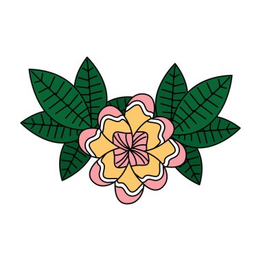 çiçek yaprakları palmiye tropikal yaz