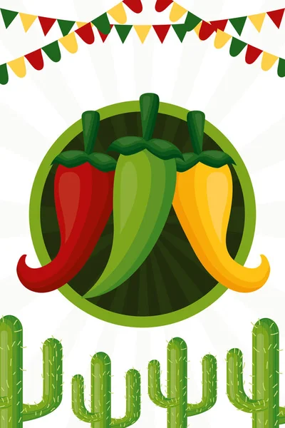 Mexico cinco de mayo — Stock Vector