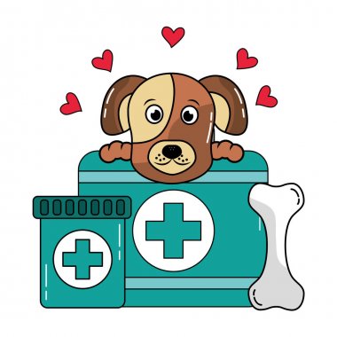 kemik ve tıbbi kiti pet veteriner bakımı ile köpek