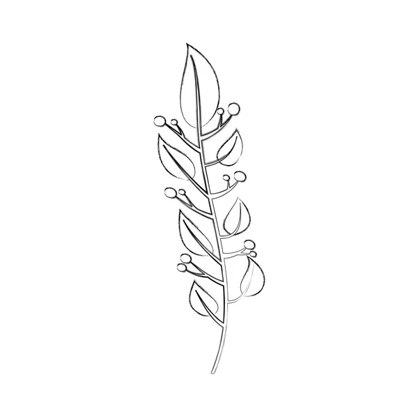 Gren växt med blad berry naturliga lövverk trädgård — Stock vektor