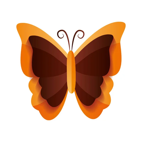 蝶の昆虫アイコン — ストックベクタ