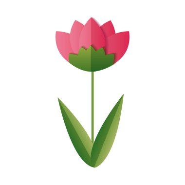 çiçek sapı yaprakları