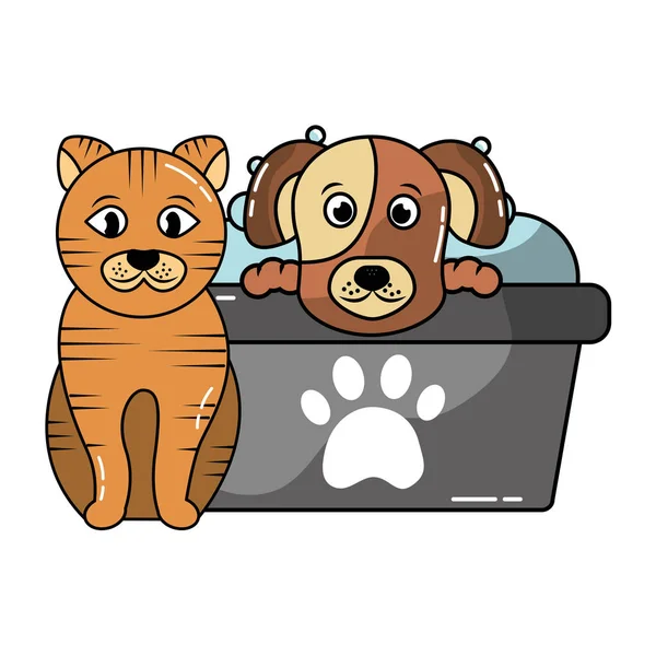Hond en kat Huisdier verzorging — Stockvector