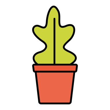 saksı bitkisi dekorasyonu