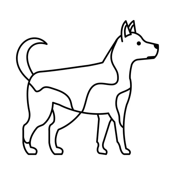 Lindo perro mascota animal — Archivo Imágenes Vectoriales