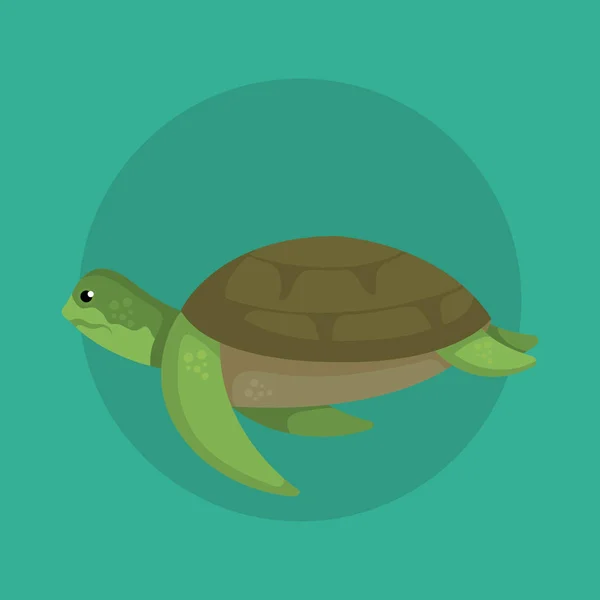 Tortuga salvaje animal marino con concha — Vector de stock