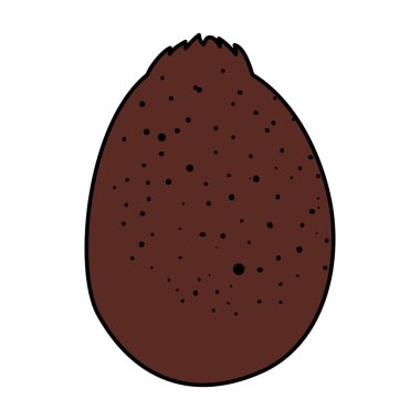 taze kivi egzotik meyve