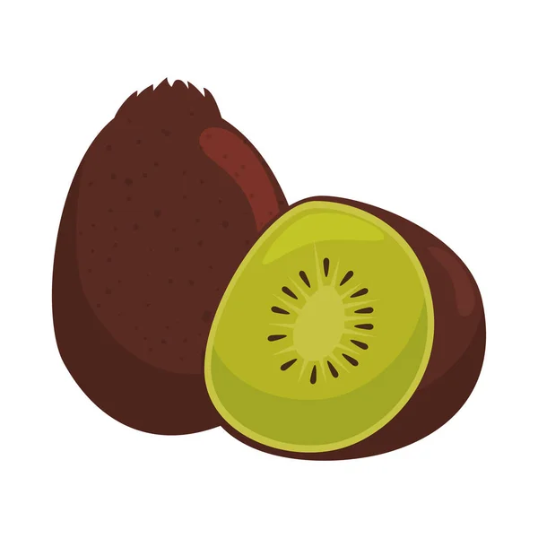 Kiwi frais fruits exotiques — Image vectorielle