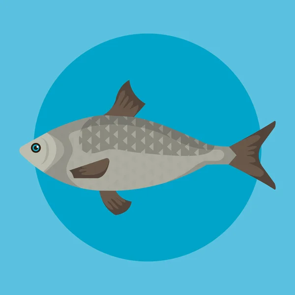 Pescado animal marino con escamas y cola — Vector de stock