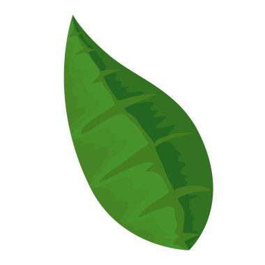 ekoloji yaprak izole simgesi