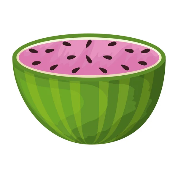 Melancia fresca fruta tropical — Vetor de Stock