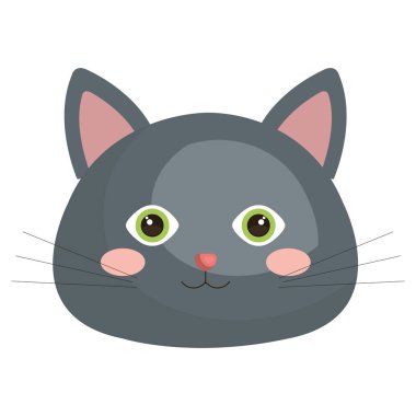 sevimli kedi kafa Evcil hayvan dostu