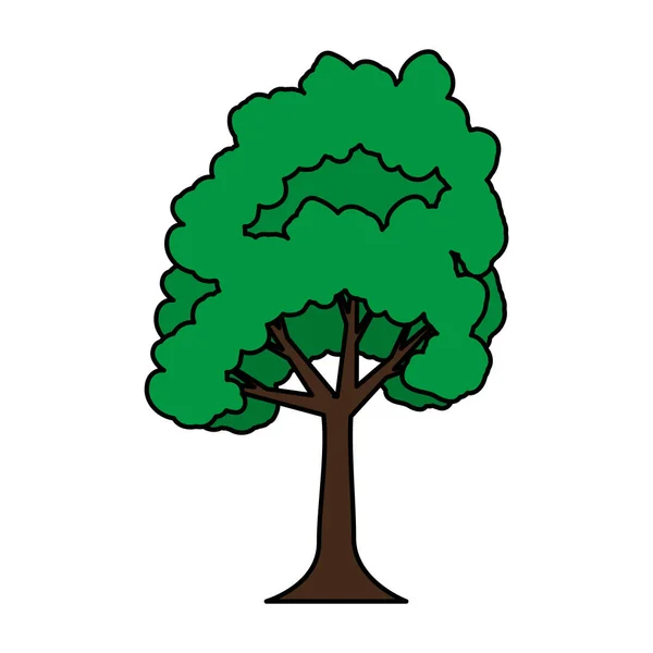 Árbol planta aislado icono — Vector de stock