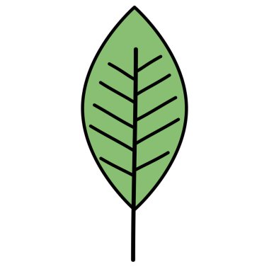 yaprak tek dekoratif simge