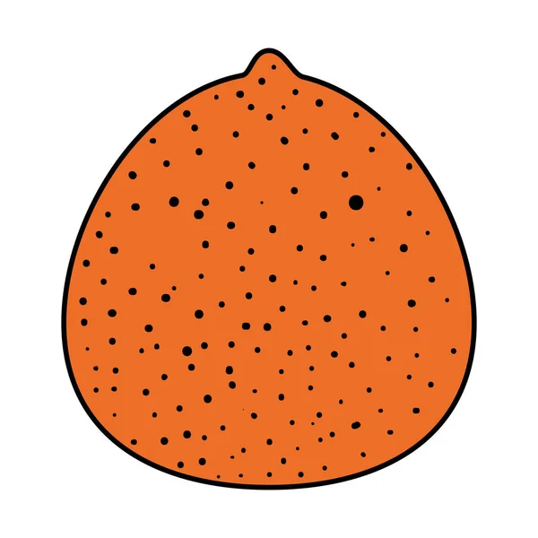 Mandarine fraîche agrumes — Image vectorielle