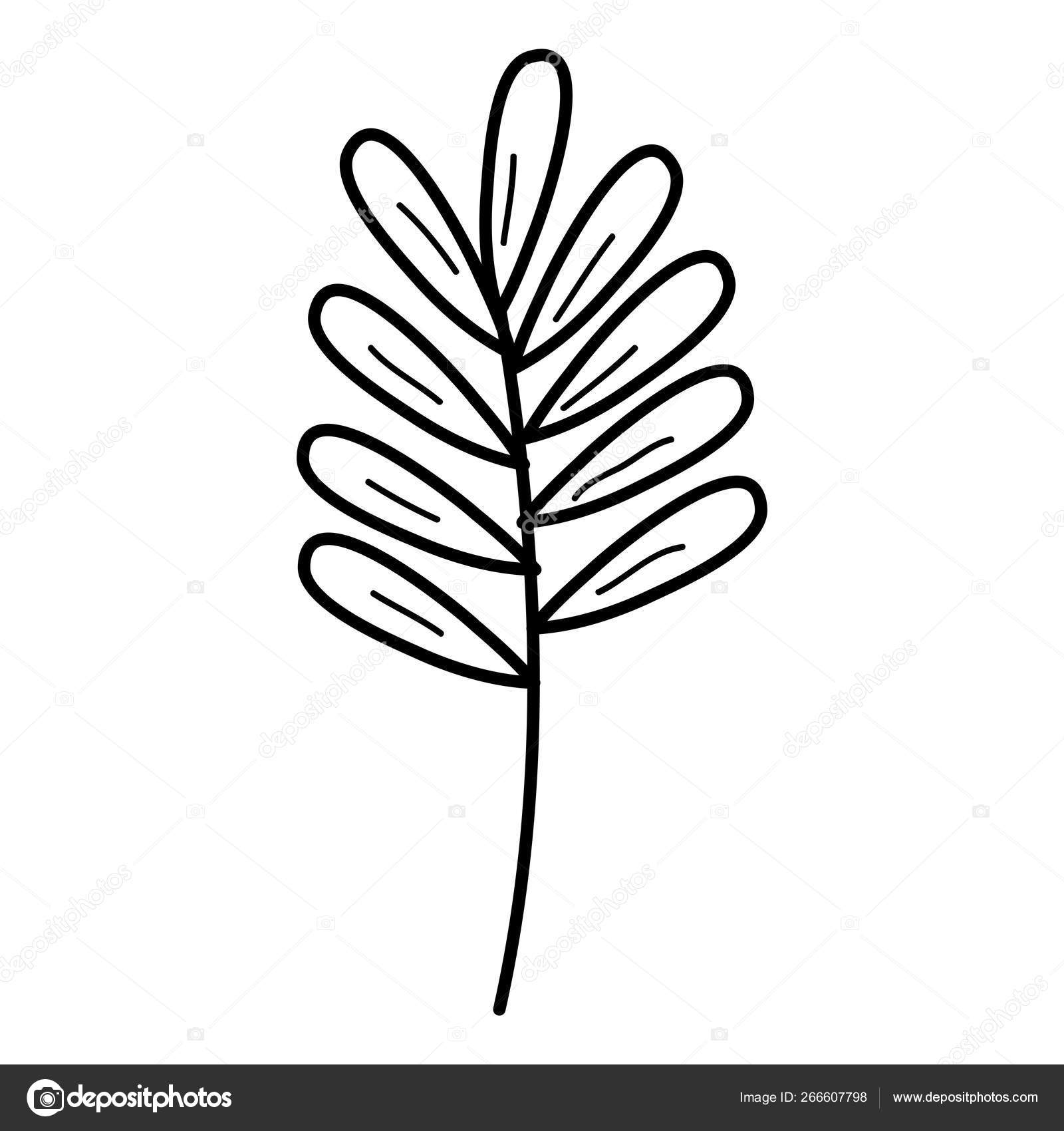 Leaf Drawing Monochrome Icon Vector Image By C Yupiramos Vector Stock Leaf Drawing Monochrome Icon Vector Image By C Yupiramos Vector Stock