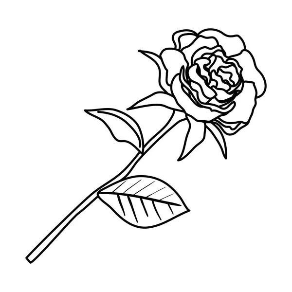 Rosa con icono de hojas — Vector de stock