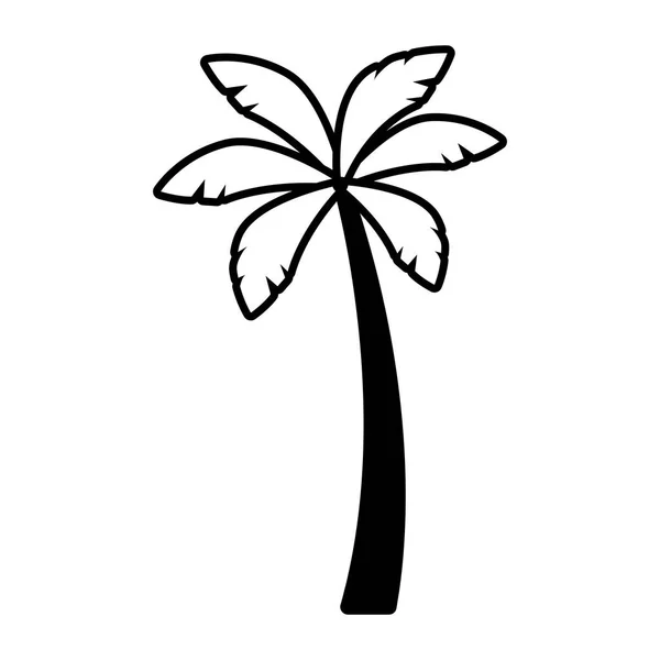 Natura palma — Vettoriale Stock