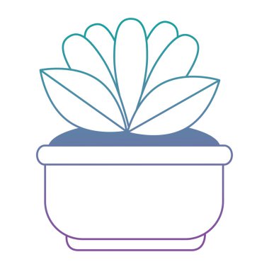 pot dekoratif güzel çiçekler