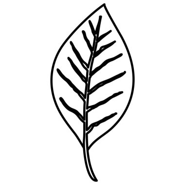 yaprak tek dekoratif simge