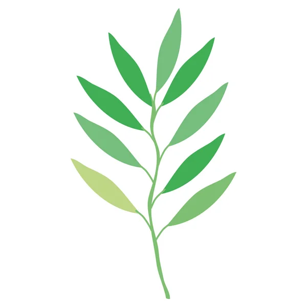 Ramo con foglie icona decorativa — Vettoriale Stock