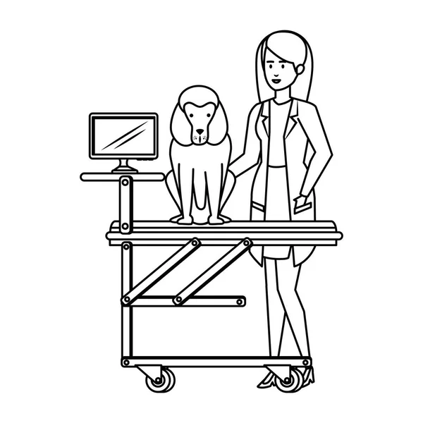 Vétérinaire femelle avec chien dans civière — Image vectorielle