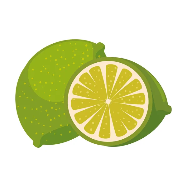 新鮮なレモンの柑橘系の果物 — ストックベクタ