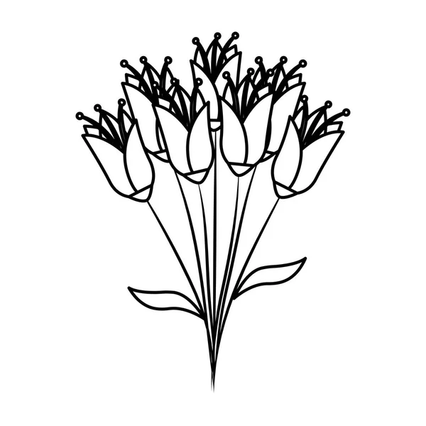 Mooie bloemen boeket pictogram — Stockvector