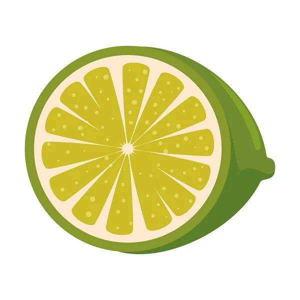 新鮮なレモンの柑橘系の果物 — ストックベクタ