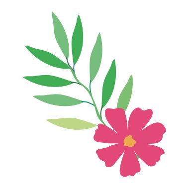 çiçek ve yapraklar dekoratif simge