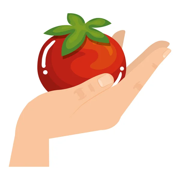 Hand lyft Tomat grönsaker hälsosam mat — Stock vektor