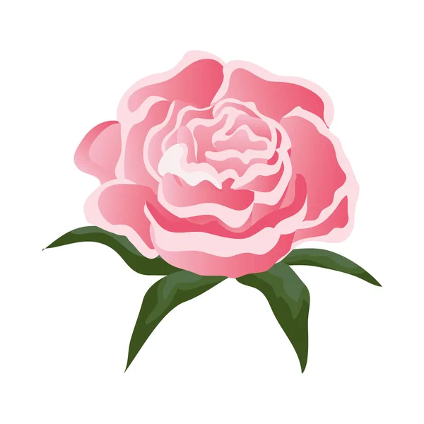 Rosa con le foglie icona — Vettoriale Stock