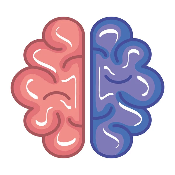 Ikona lidských orgánů v mozku — Stockový vektor