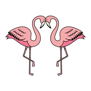 zarif flamingolar kuşlar Çift