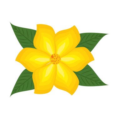 yaprak dekorasyon ile güzel çiçek