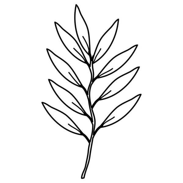 带叶子装饰图标的树枝 — 图库矢量图片