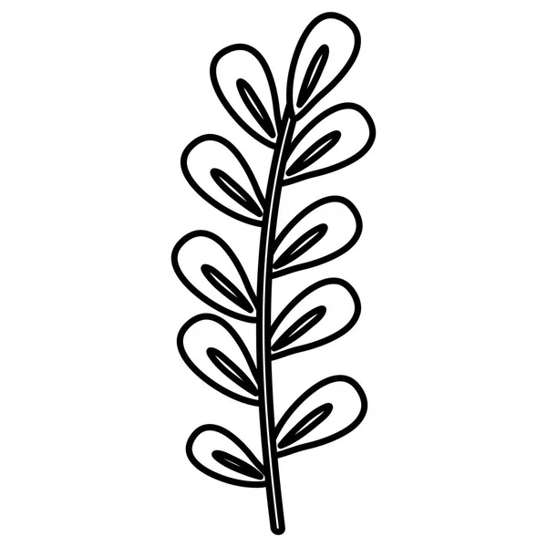 Branch with leafs decorative icon — Stock Vector