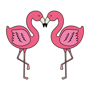 zarif flamingolar kuşlar Çift