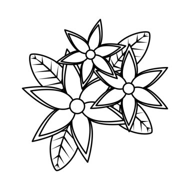 Güzel çiçekler ve yapraklar.