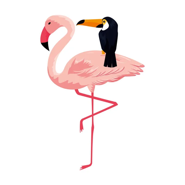 Oiseaux exotiques flamboyants et toucans — Image vectorielle