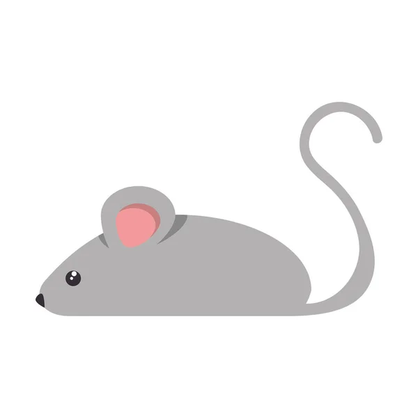 Petite souris icône isolée — Image vectorielle