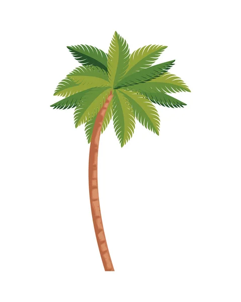 Tropische boom Palm icon — Stockvector