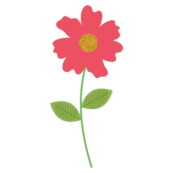 Kwiaty i liście ozdobne ikony — Wektor stockowy